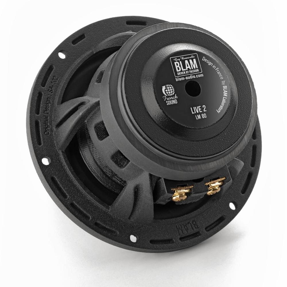 kypit_avtoakustika-blam-lm-80