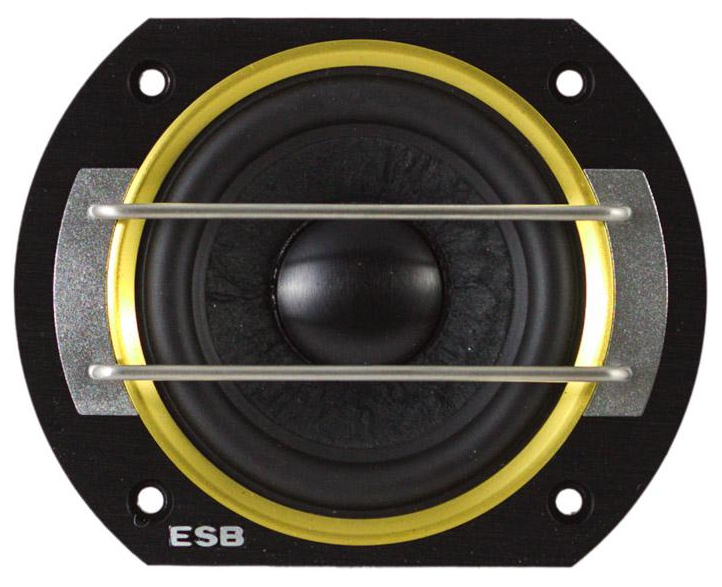 kypit_avtoakustika-esb-8-6k3-act-sbornaya