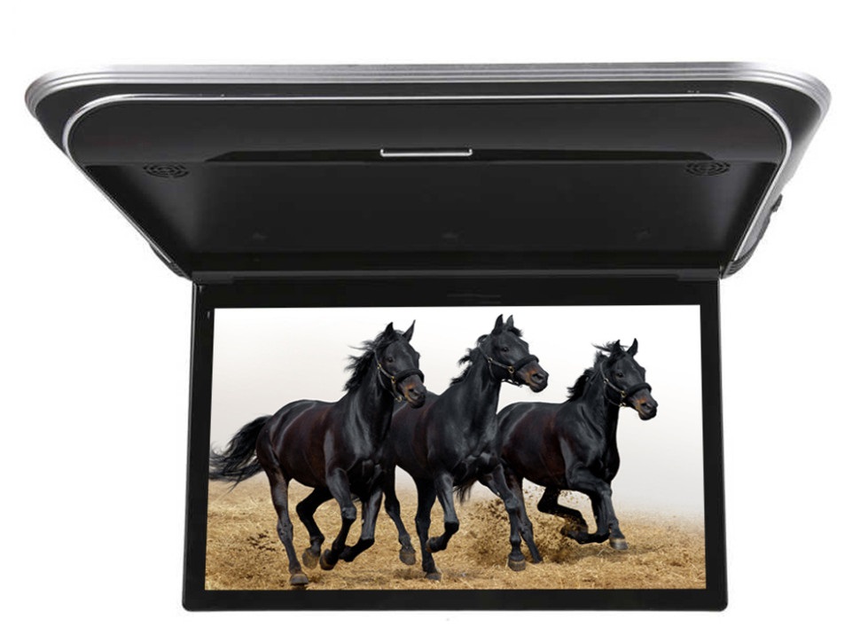 kypit_potolochnyy-monitor-ergo-er15m-chernyy