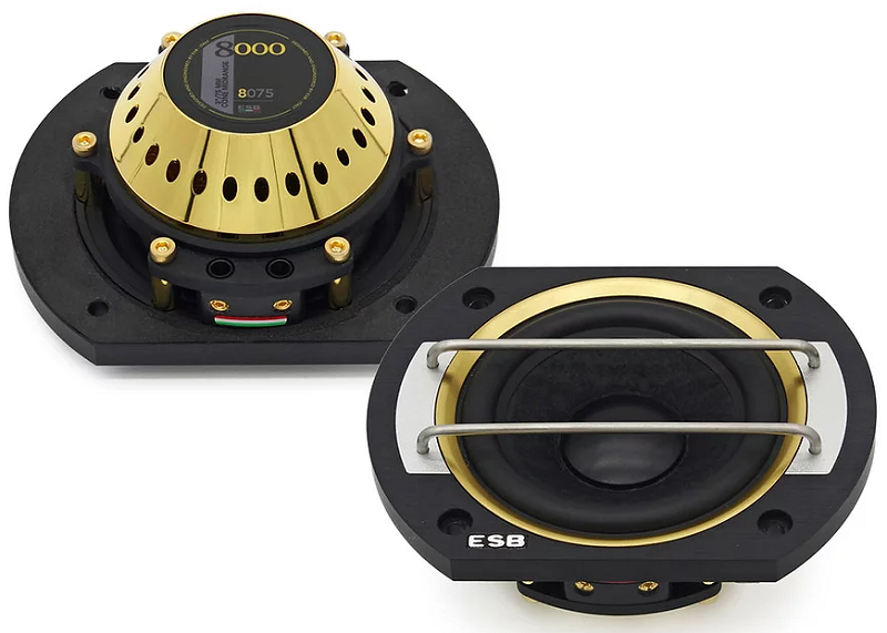 kypit_avtoakustika-esb-8-6k3-act-sbornaya