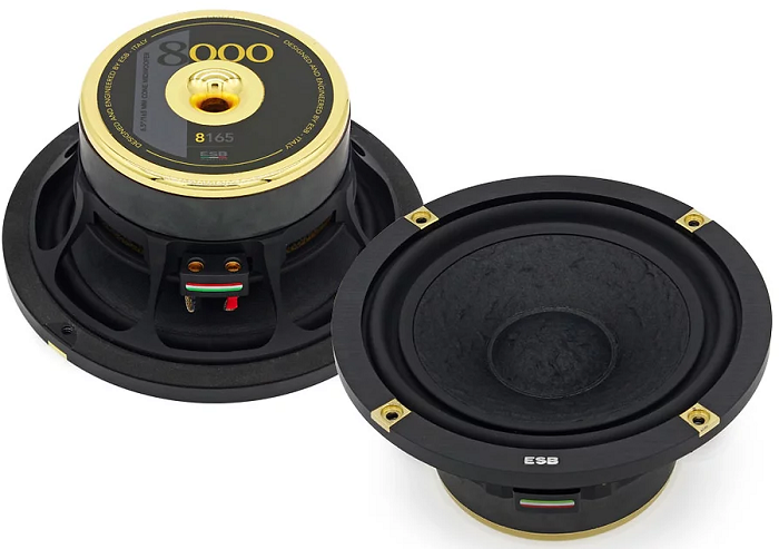 kypit_avtoakustika-esb-8-6k3u-act