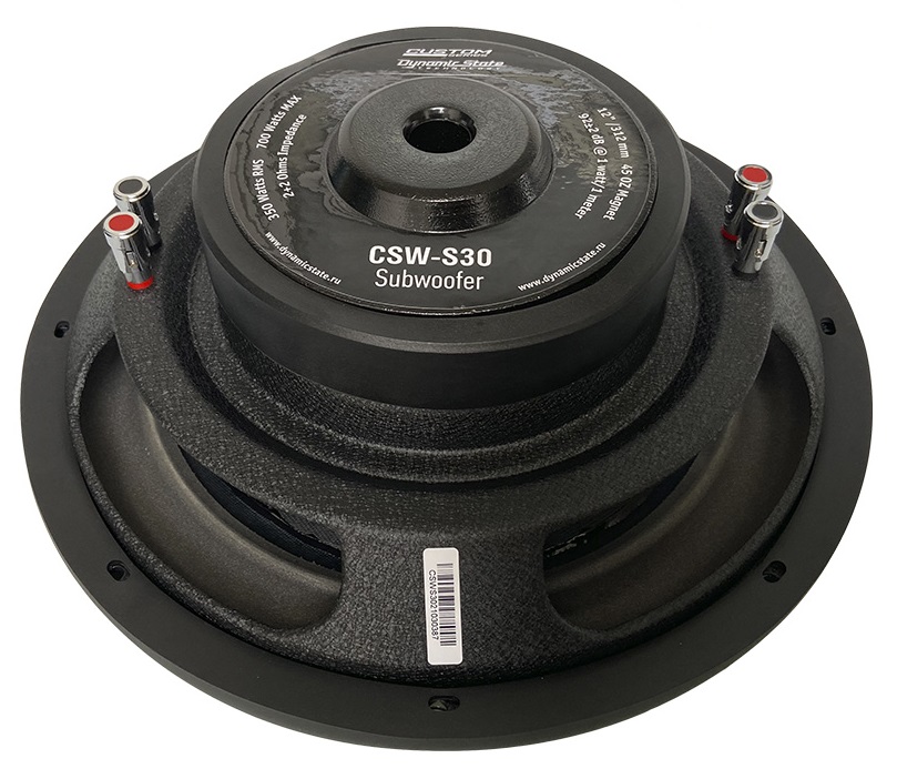 kypit_avtosabvufer-dynamic-state-csw-s30