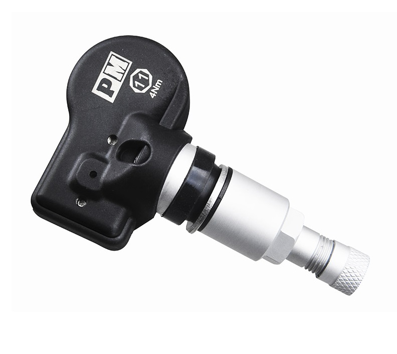 kypit_vnutrenniy-datchik-parkmaster-tpms