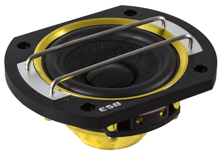 kypit_avtoakustika-esb-8-6k3-act-sbornaya