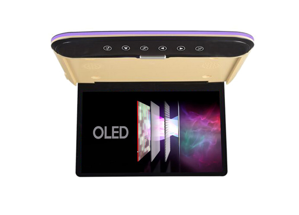 kypit_potolochnyy-monitor-ergo-er1330an-bezhevyy