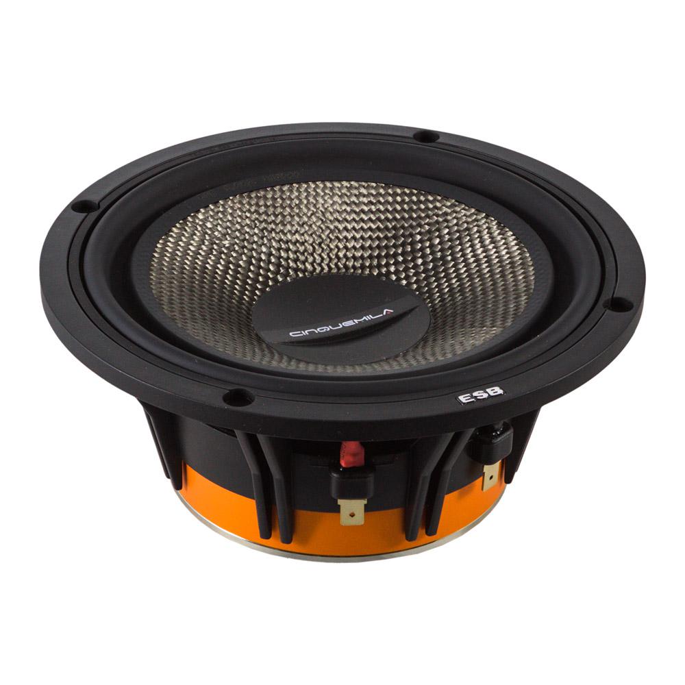 kypit_avtoakustika-esb-5-6k3u-act-sbornaya