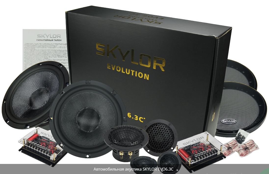 kypit_avtoakustika-skylor-evo6-3c