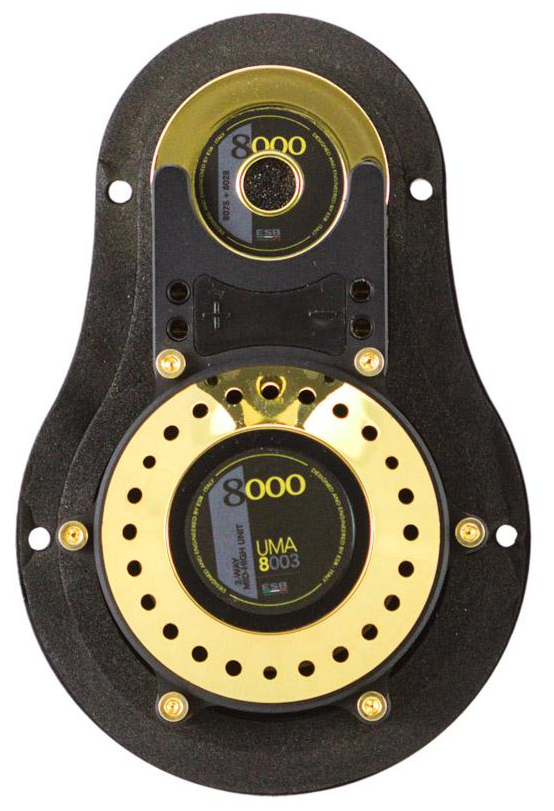 kypit_avtoakustika-esb-8-6k3u-act